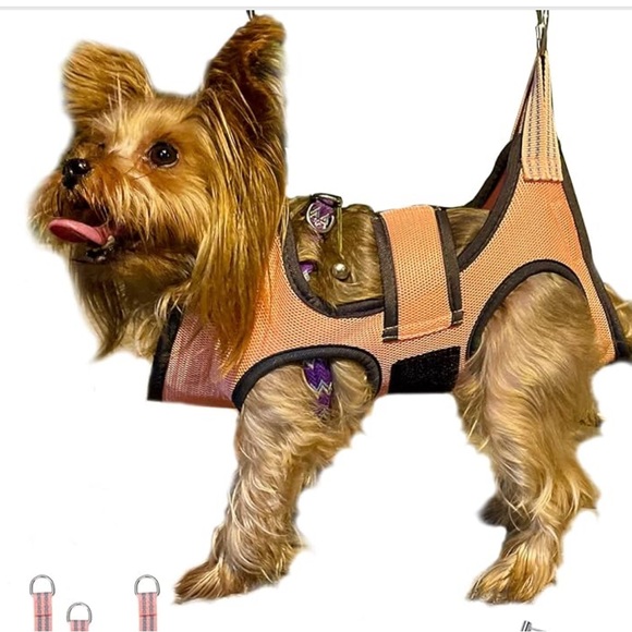 Other - Adjustable Orange Dog Harness